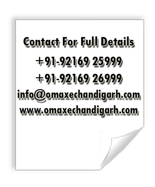 Omaxe The Lake Flats Price